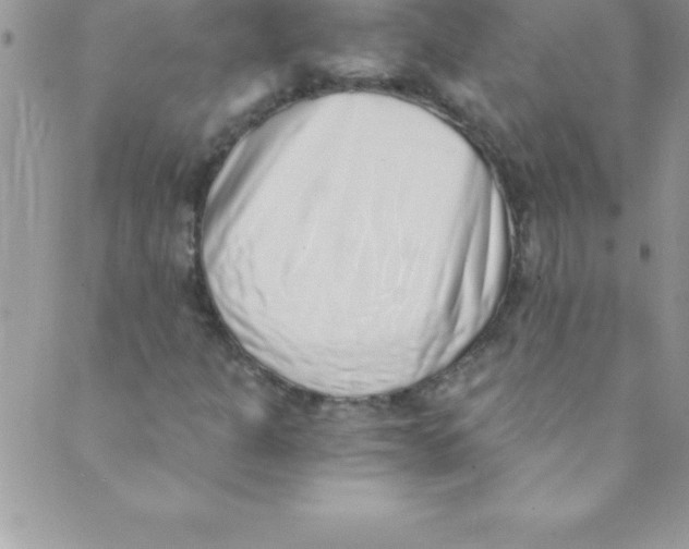 X0000088841301200707051437