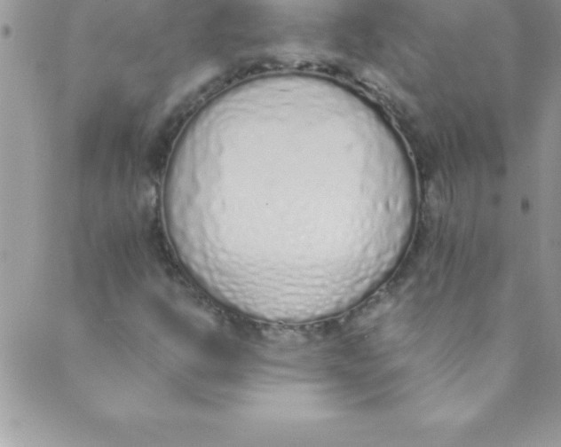 X0000088841302200707051437