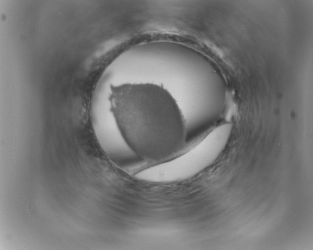 X0000088841303200707051437