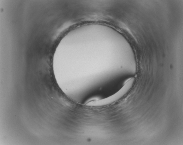 X0000088841304200707051437