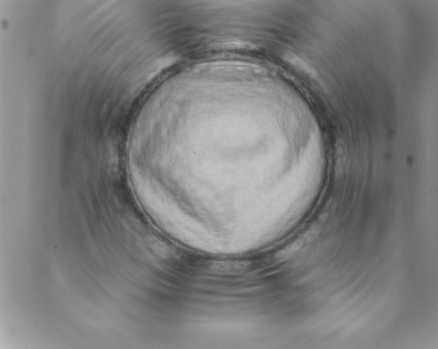 X0000088841305200707051437