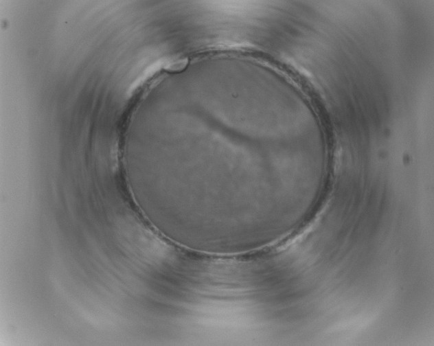 X0000088841306200707051437