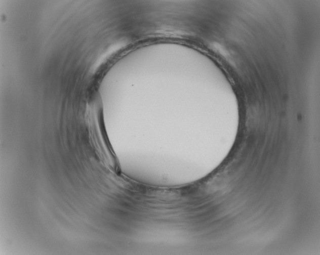 X0000088841307200707051437