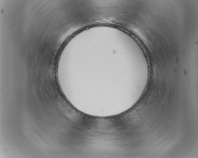 X0000088841308200707051437