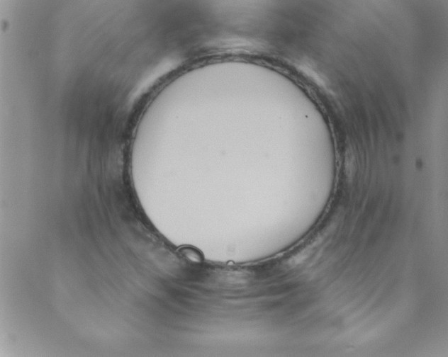 X0000088841309200707051437