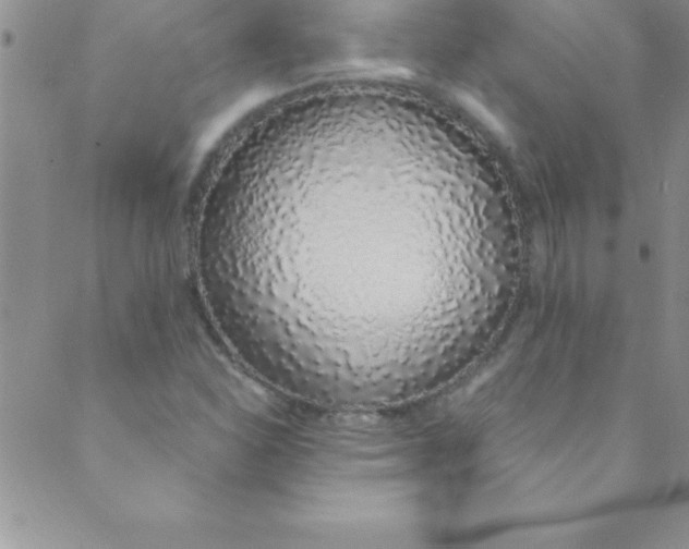 X0000088841310200707051437