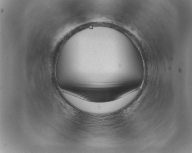 X0000088841311200707051437