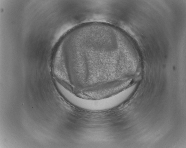 X0000088841312200707051437