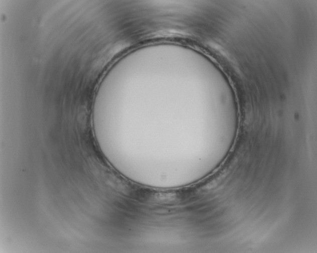 X0000088841313200707051437