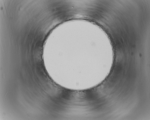 X0000088841314200707051437