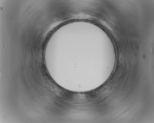 X0000088841315200707051438