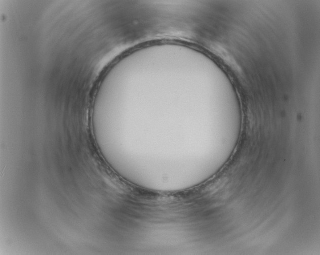 X0000088841316200707051438