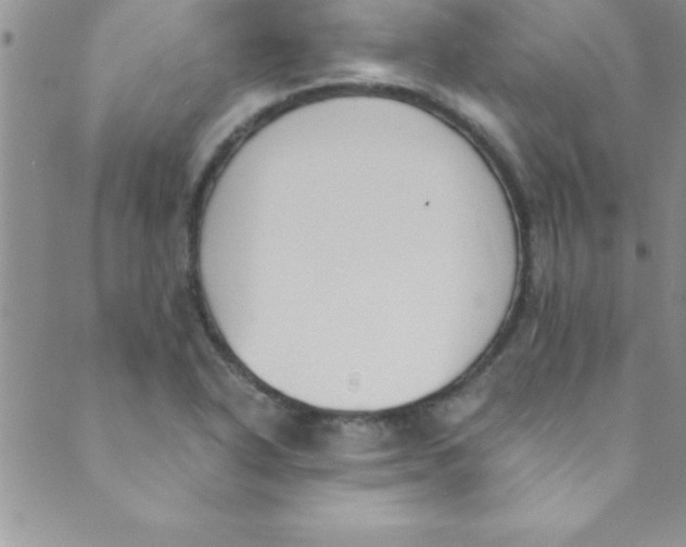 X0000088841318200707051438