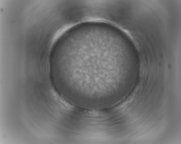 X0000088841319200707051438