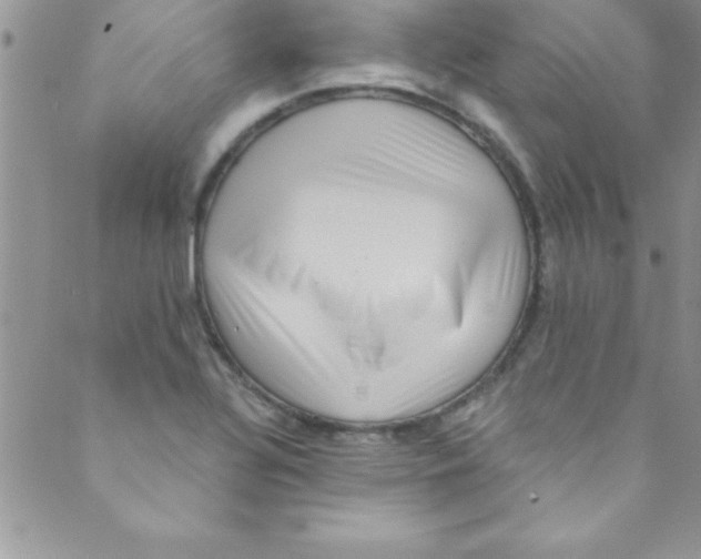 X0000088841320200707051438