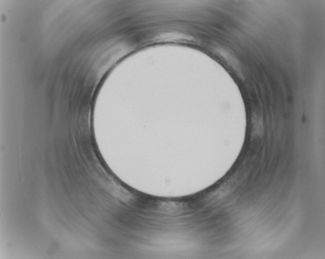 X0000088841322200707051438