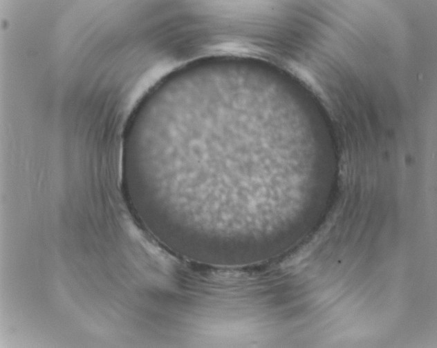 X0000088841323200707051438