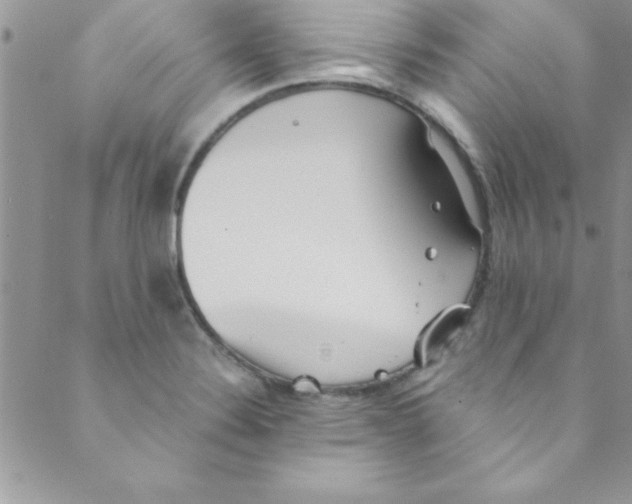 X0000088841324200707051438