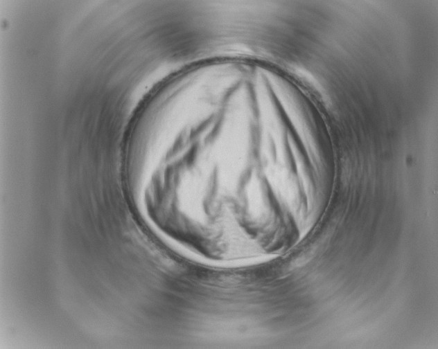 X0000088841326200707051438