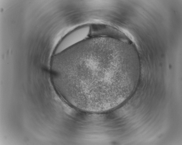 X0000088841327200707051438