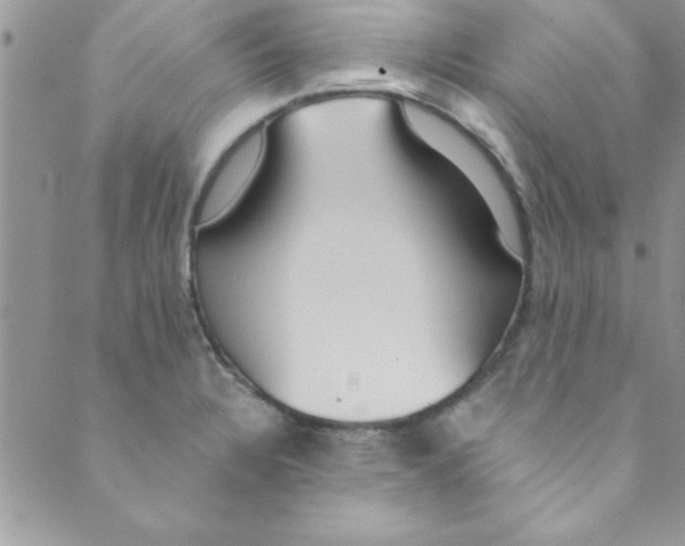 X0000088841328200707051438