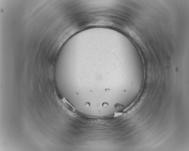 X0000088841329200707051438