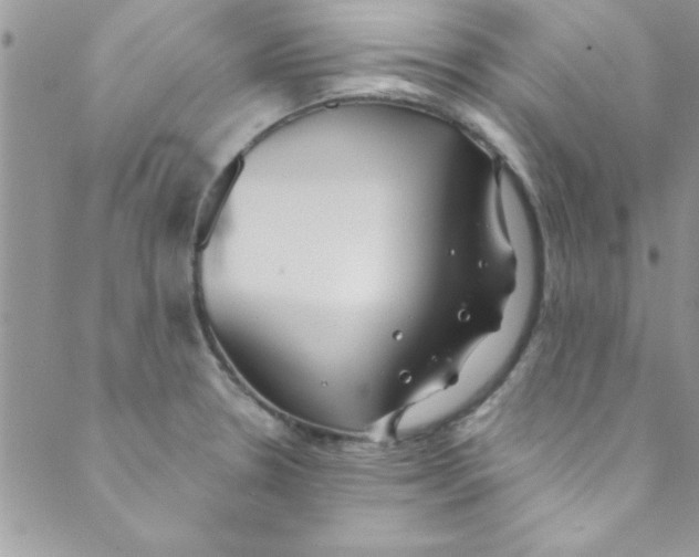 X0000088841330200707051438