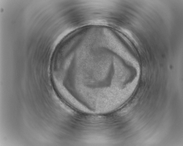 X0000088841331200707051438