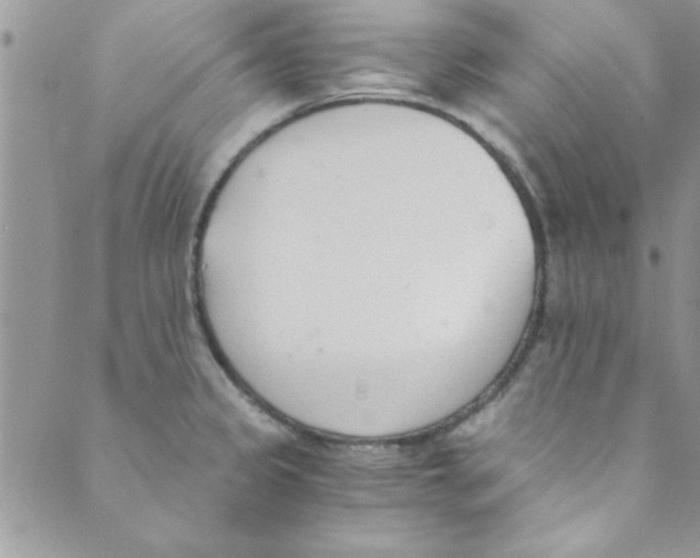 X0000088841333200707051438