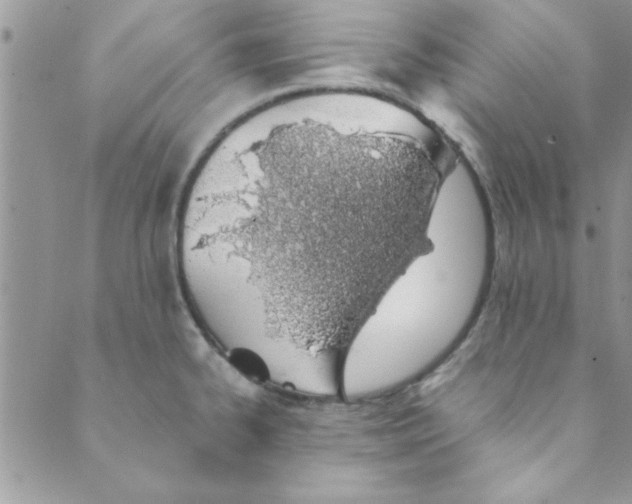 X0000088841334200707051438