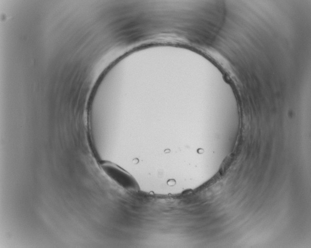 X0000088841335200707051438