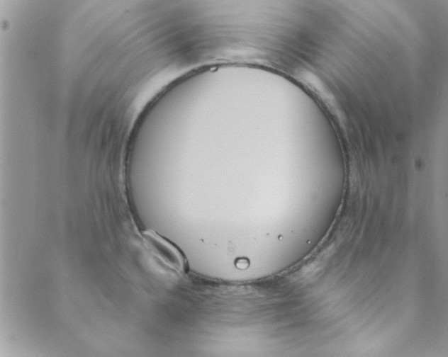 X0000088841336200707051438