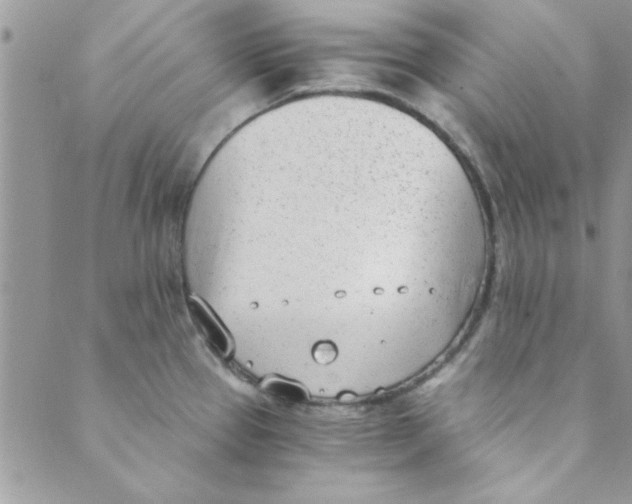 X0000088841337200707051438