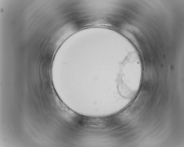 X0000088841338200707051438