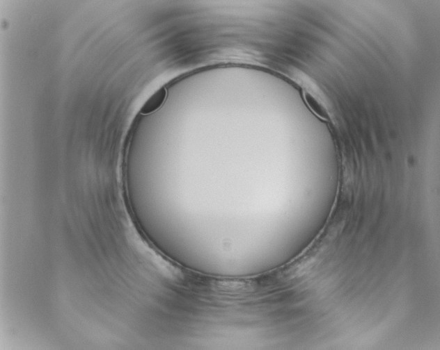 X0000088841339200707051438