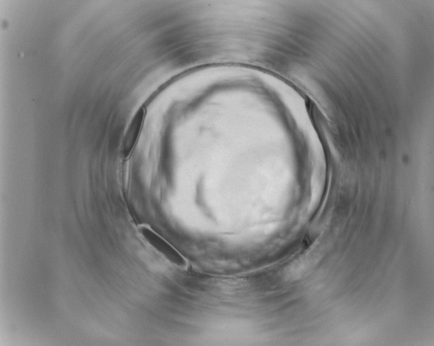 X0000088841340200707051438