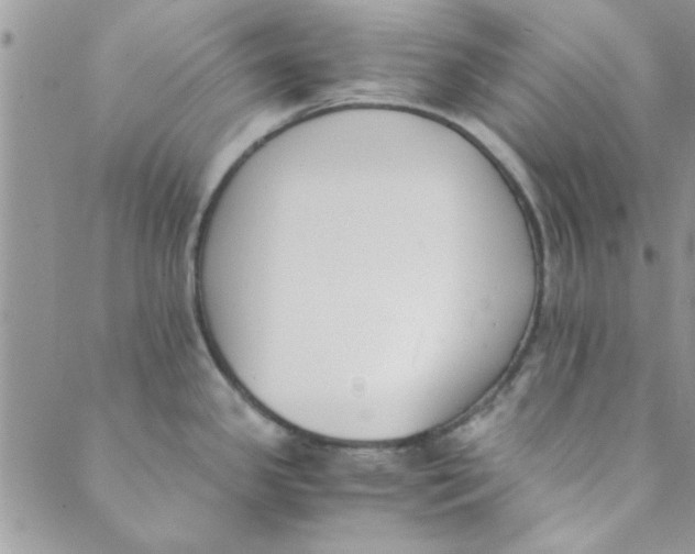 X0000088841341200707051438