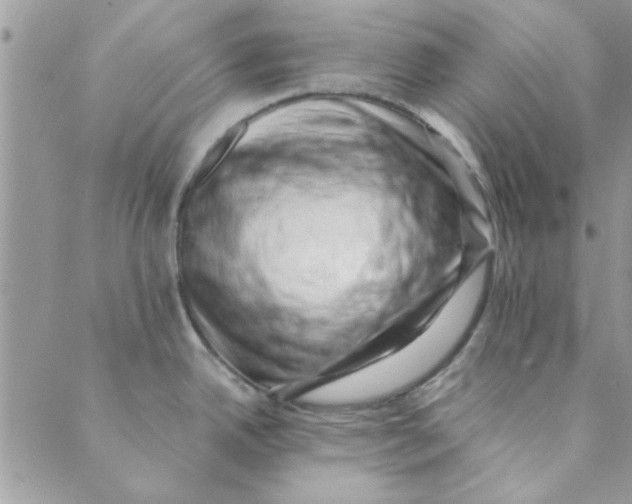 X0000088841342200707051438