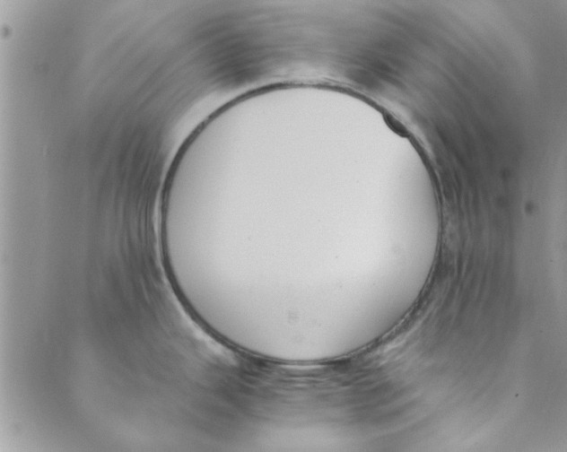 X0000088841343200707051438