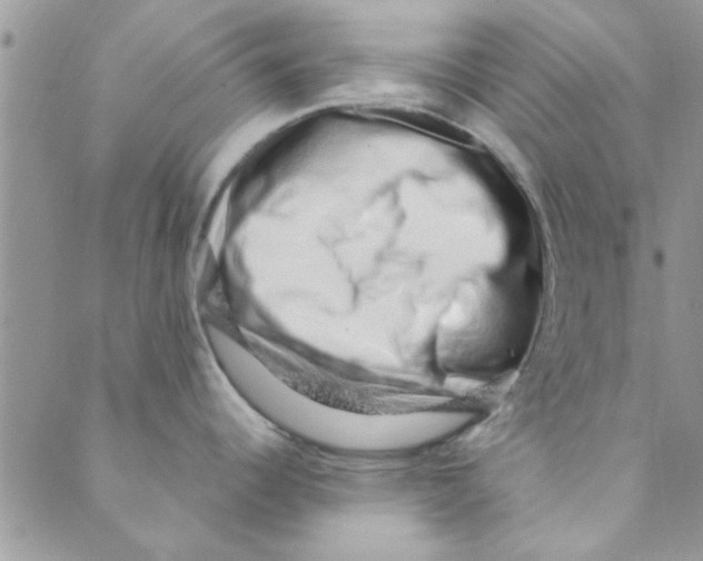 X0000088841344200707051438