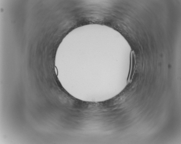 X0000088841345200707051437