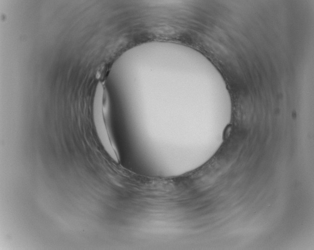 X0000088841346200707051437