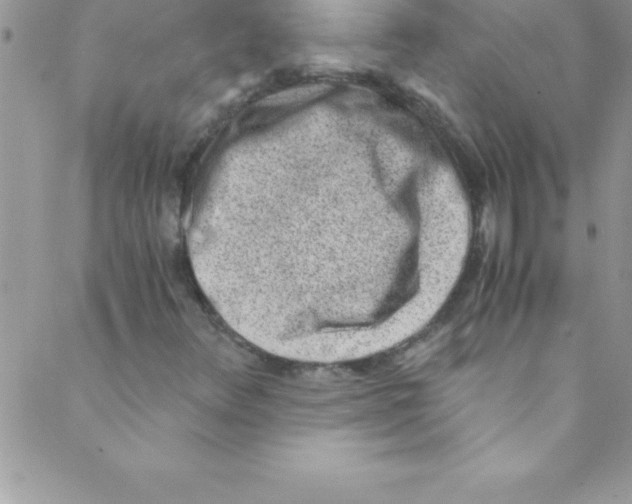 X0000088841348200707051437