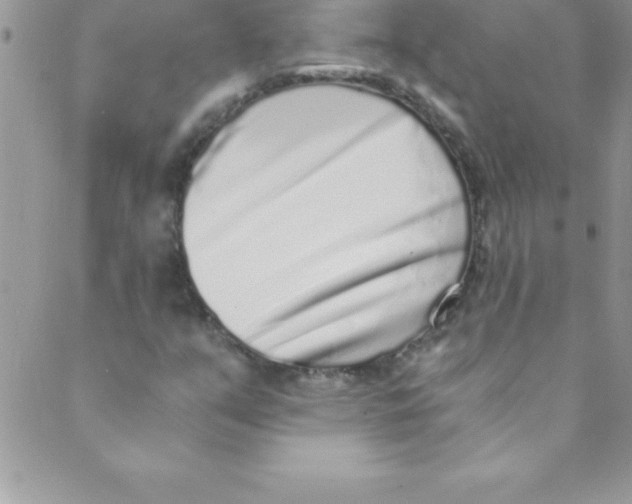 X0000088841351200707051437