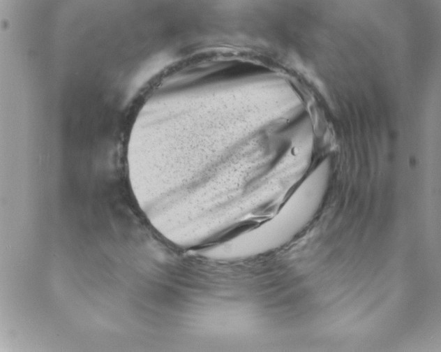 X0000088841352200707051437