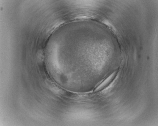 X0000088841353200707051437