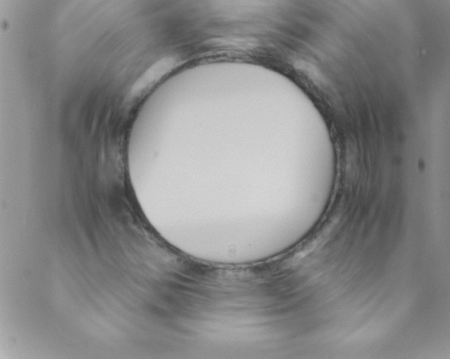 X0000088841354200707051437