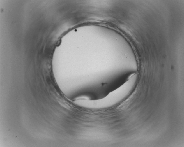 X0000088841355200707051437