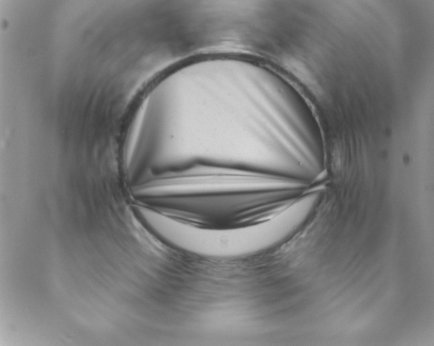 X0000088841356200707051437