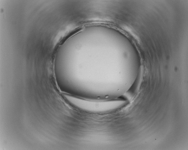 X0000088841357200707051437